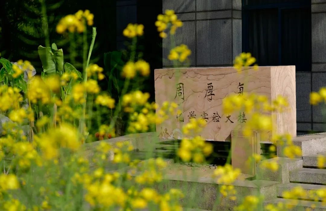 周厚复化学实验大楼2.jpg